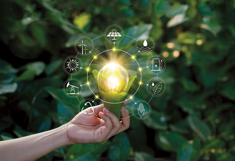 Free Market Environmentalism